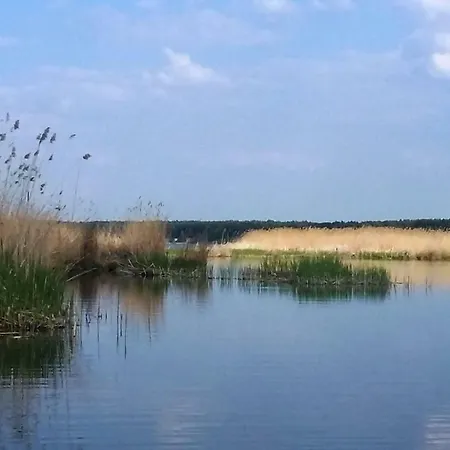 Feeling Cone * Jūrkalne